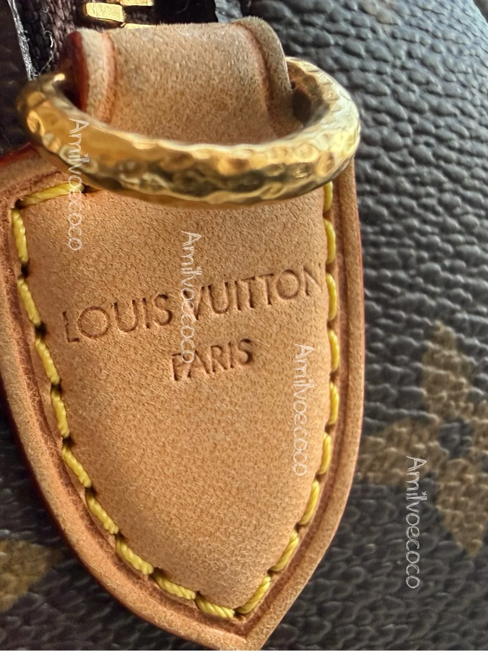 Louis Vuitton Chain Speedy 20 FW 2013-14 Runway Monogram RARE Bag